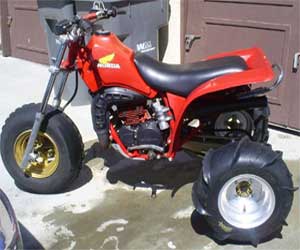 83 250R three wheeler history