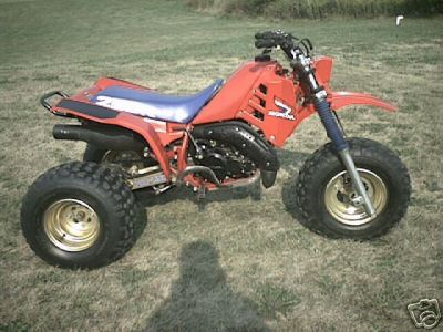 1985 250R