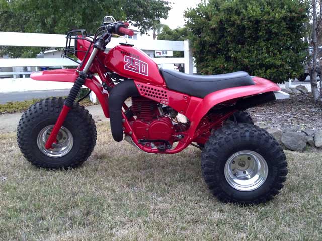 John R's 1981 ATC250R