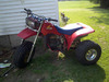 Matts 83 Honda 250R side